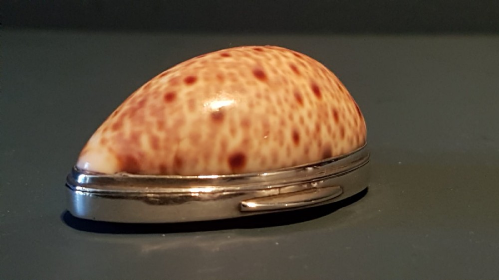 Late Georgian Cowrie and Tortoise Shell Silver Mounted Snuff