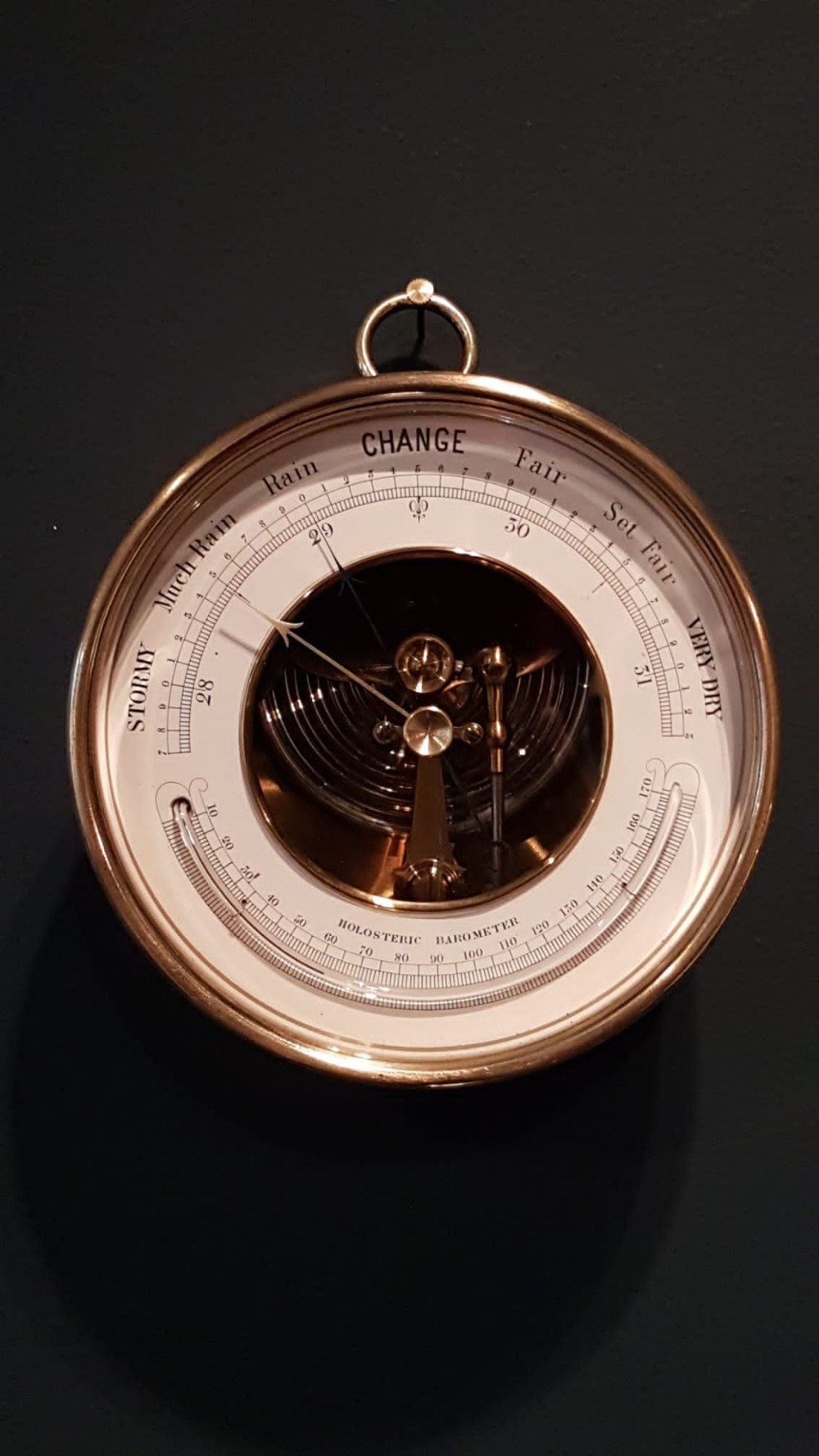 Victorian Skeletonised Marine Barometer