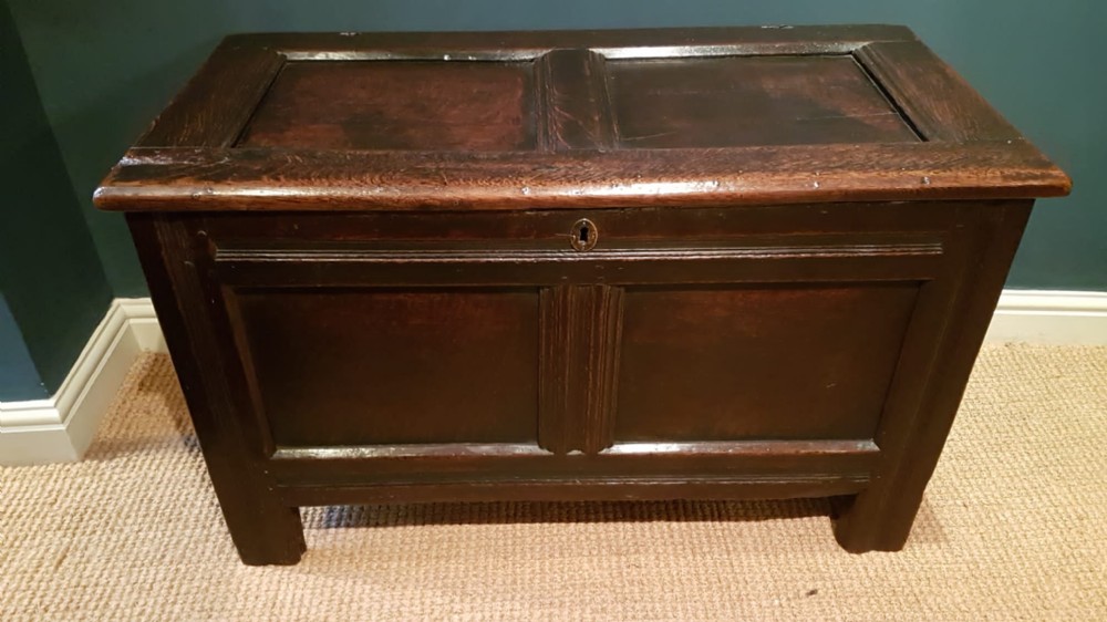Period Oak Two Panel Coffer