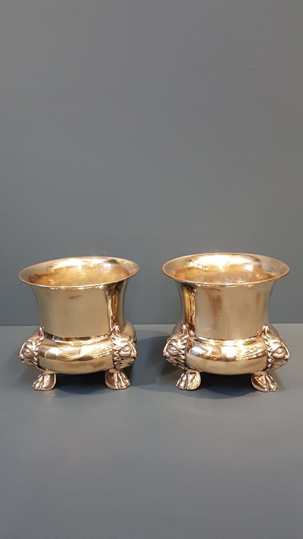 Matching Pair of Stylish Brass Planters