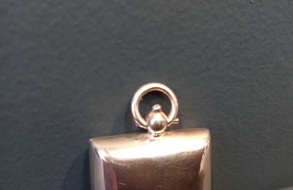 IMMACULATE EDWARDIAN PERIOD SILVER SOVEREIGN CASE View VI