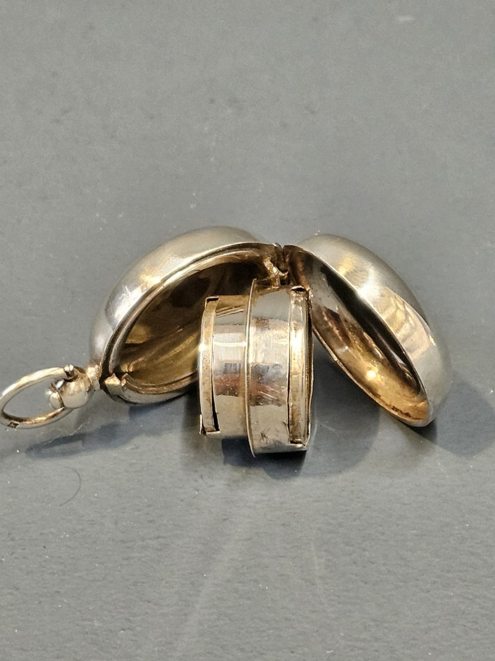Unusual Silver Double Sovereign Case