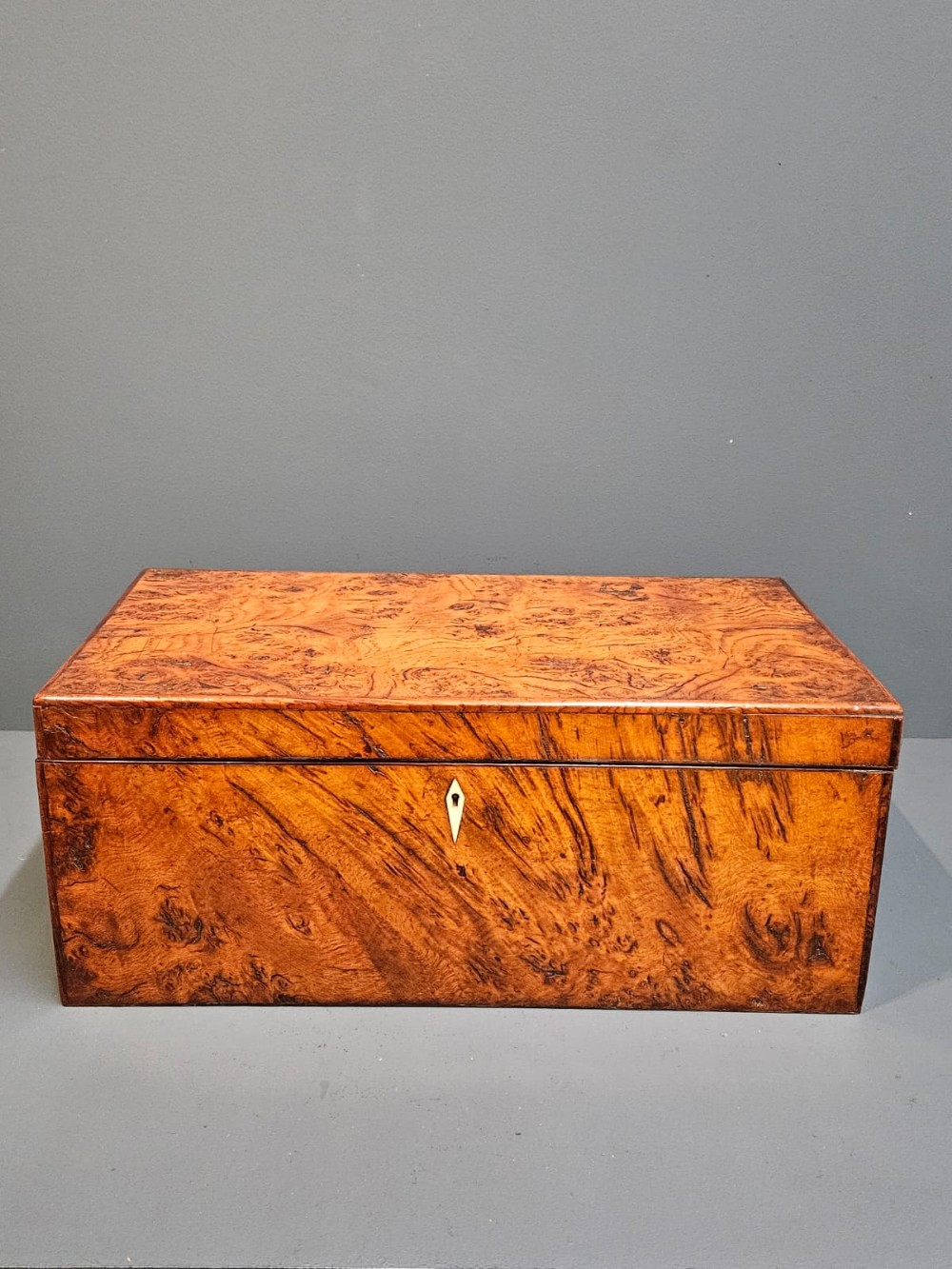 Early Victorian Burr Oak and Yew Writing Slope
