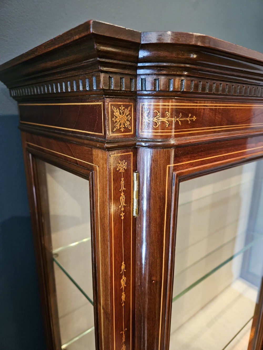 Small Edwards and Roberts Late Victorian Display Cabinet View II