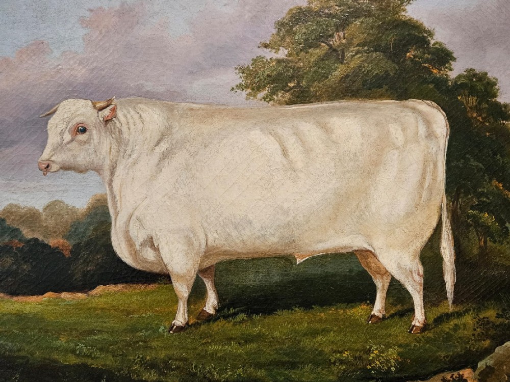 A Victorian oil painting on canvas depicting a profile view of an off-white Shorthorn bull standing in a green field, enclosed in a heavily moulded gilded frame. View II