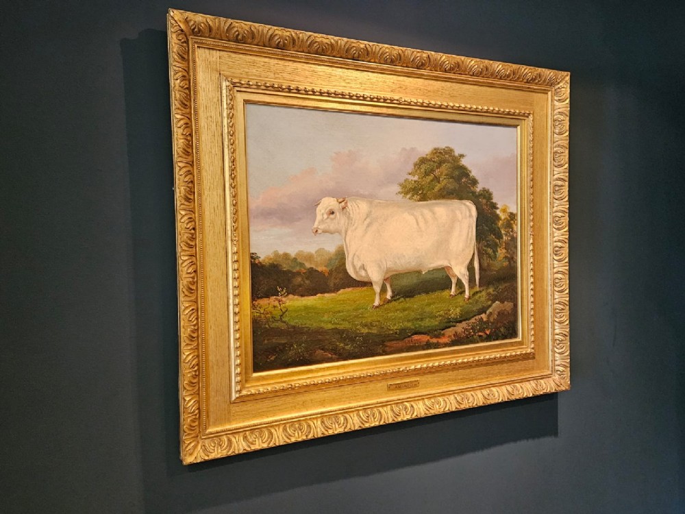 A Victorian oil painting on canvas depicting a profile view of an off-white Shorthorn bull standing in a green field, enclosed in a heavily moulded gilded frame. View V