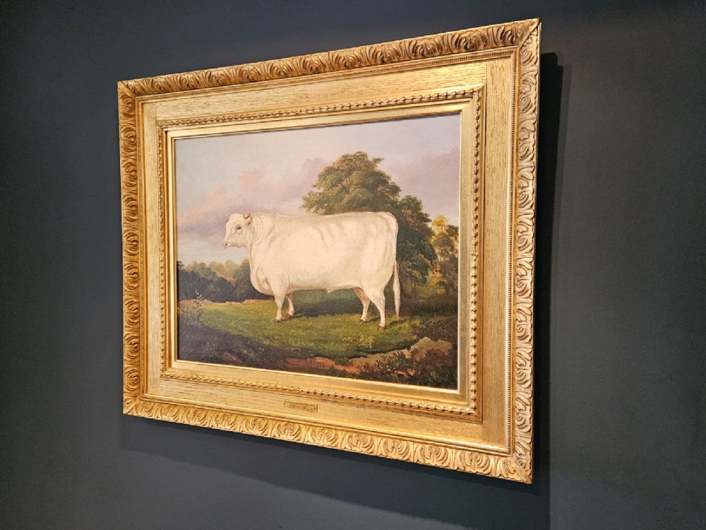 A Victorian oil painting on canvas depicting a profile view of an off-white Shorthorn bull standing in a green field, enclosed in a heavily moulded gilded frame. View VII