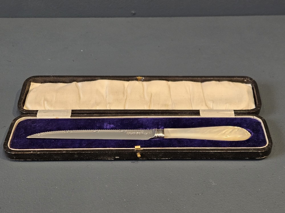 A hallmarked silver fruit serving knife with an engraved blade and mother-of-pearl handle presented inside an open dark velvet-lined case.