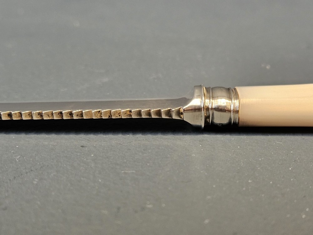 A hallmarked silver fruit serving knife with an engraved blade and mother-of-pearl handle presented inside an open dark velvet-lined case. View III