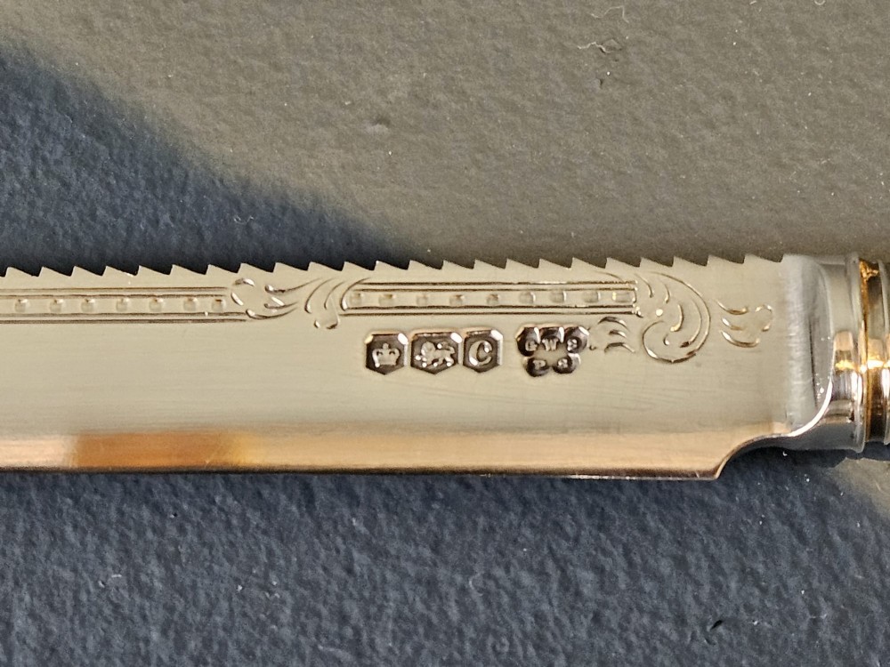 A hallmarked silver fruit serving knife with an engraved blade and mother-of-pearl handle presented inside an open dark velvet-lined case. View IV