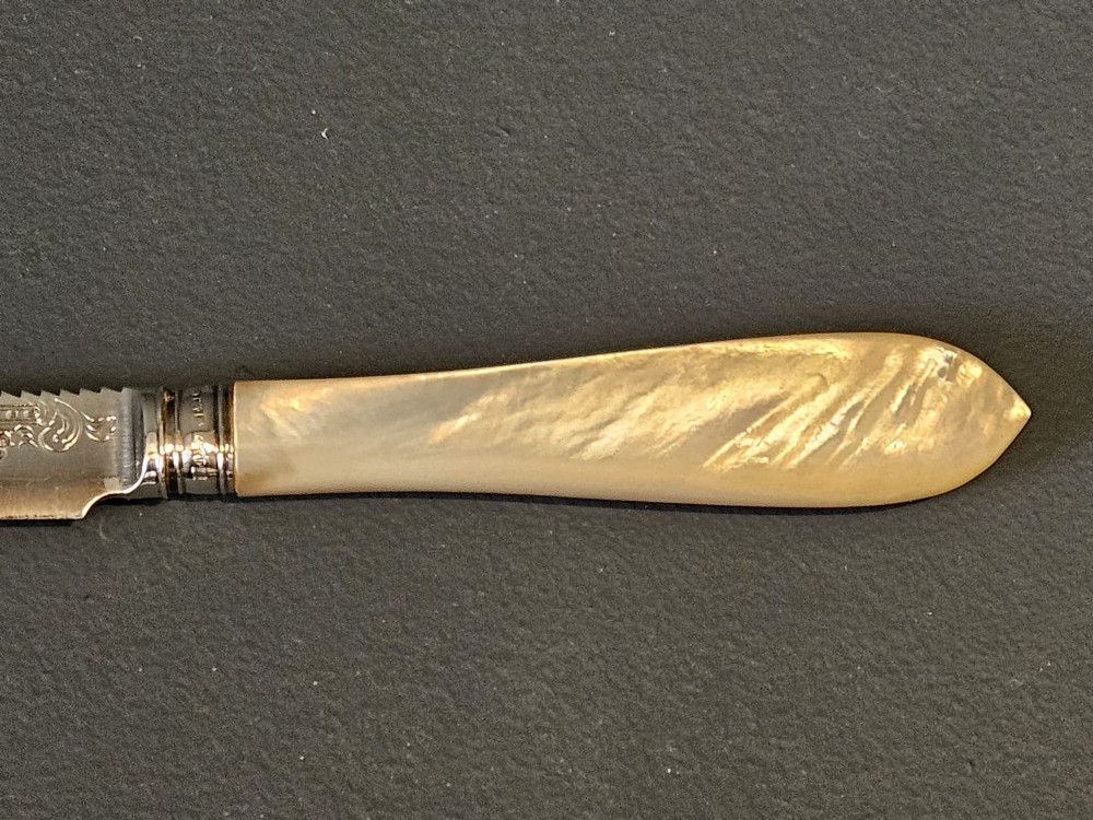 A hallmarked silver fruit serving knife with an engraved blade and mother-of-pearl handle presented inside an open dark velvet-lined case. View VI