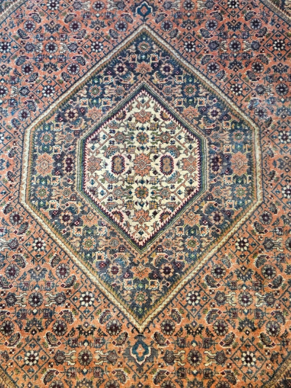 Fine Quality Rug View II