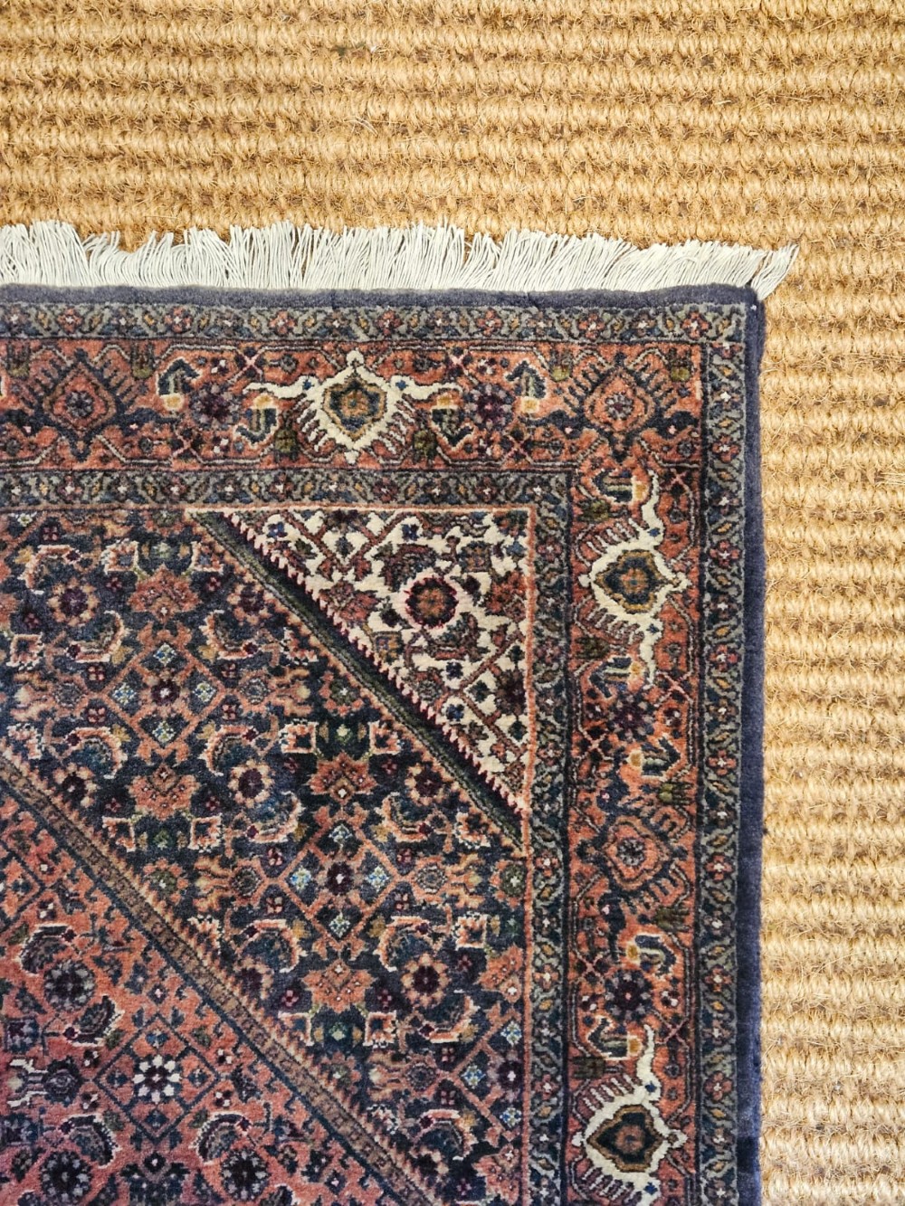 Fine Quality Rug View III