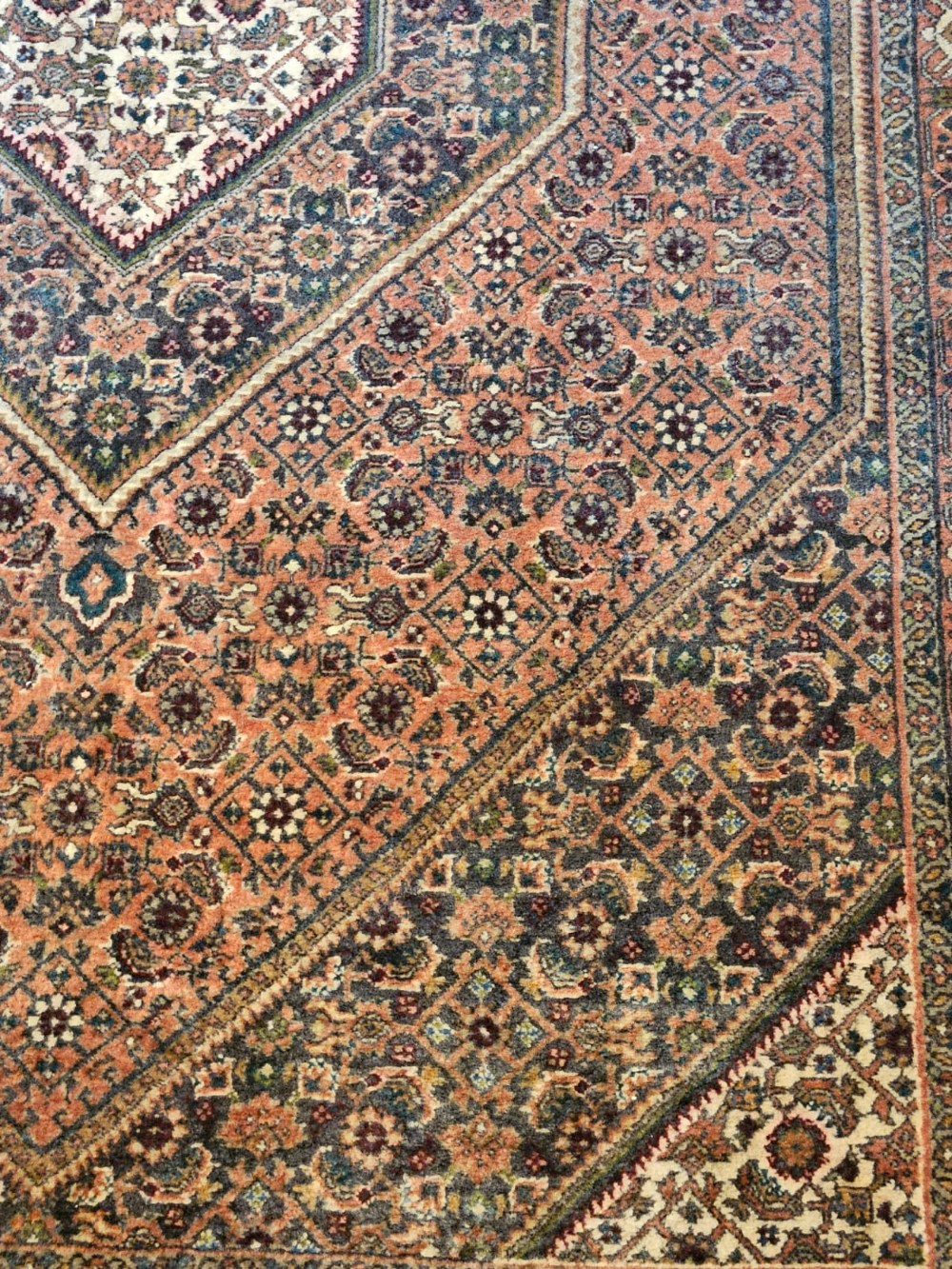 Fine Quality Rug View VI