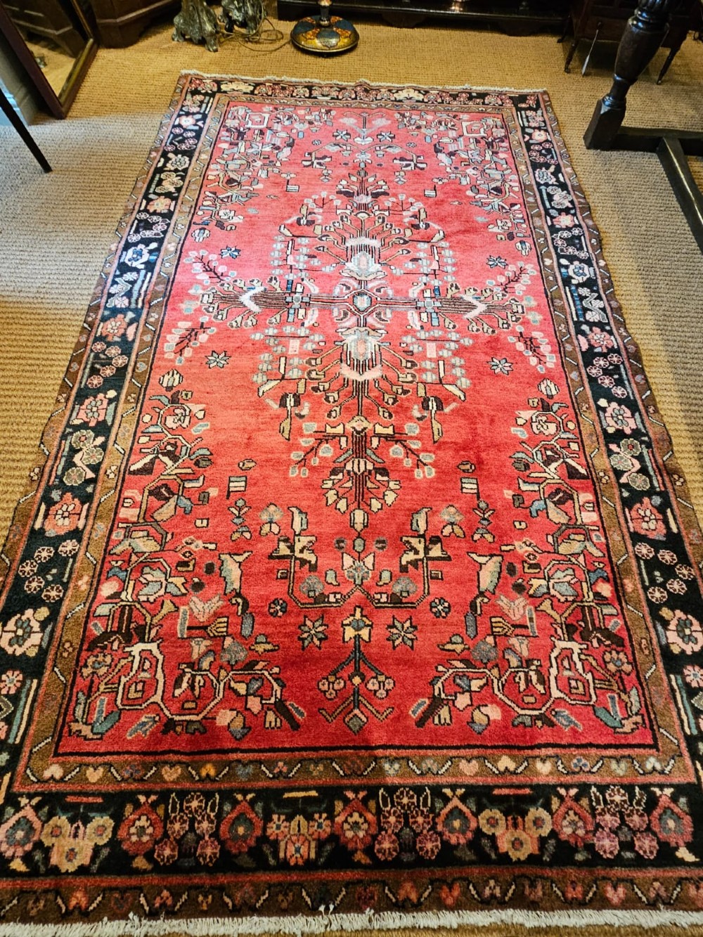 9' x 6' Pure Wool Rug View II