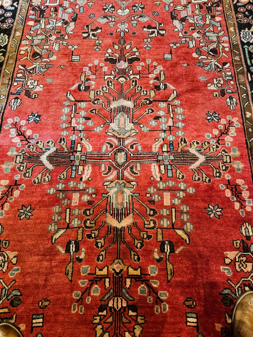 9' x 6' Pure Wool Rug View III