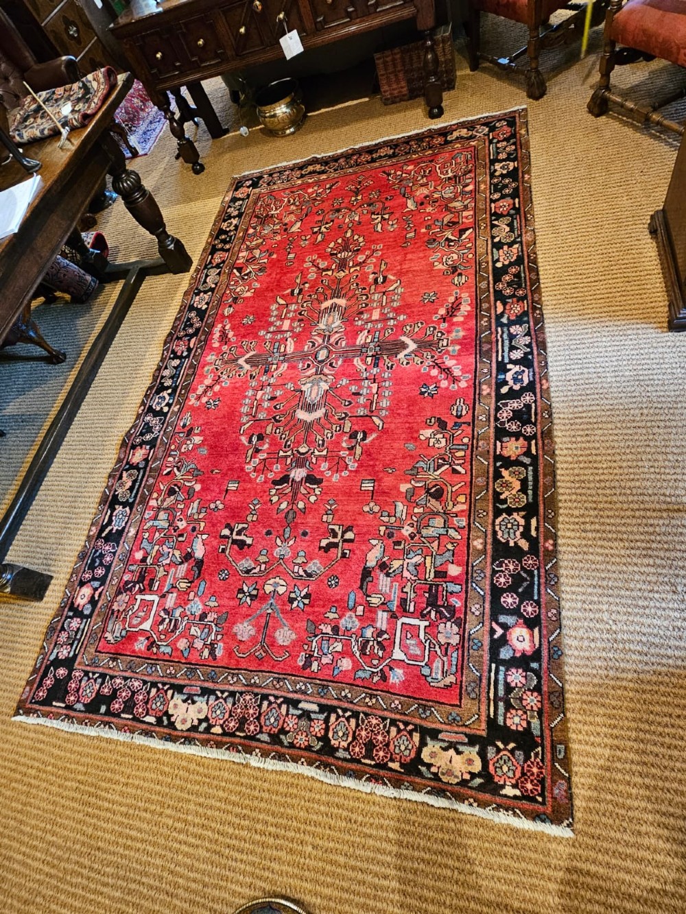 9' x 6' Pure Wool Rug View IV