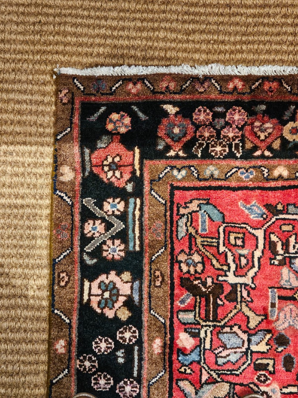 9' x 6' Pure Wool Rug View V