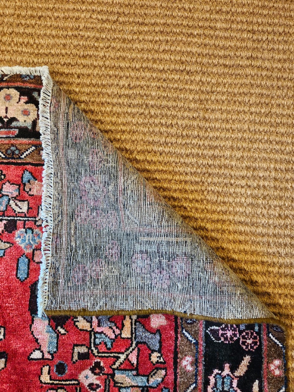 9' x 6' Pure Wool Rug View VII