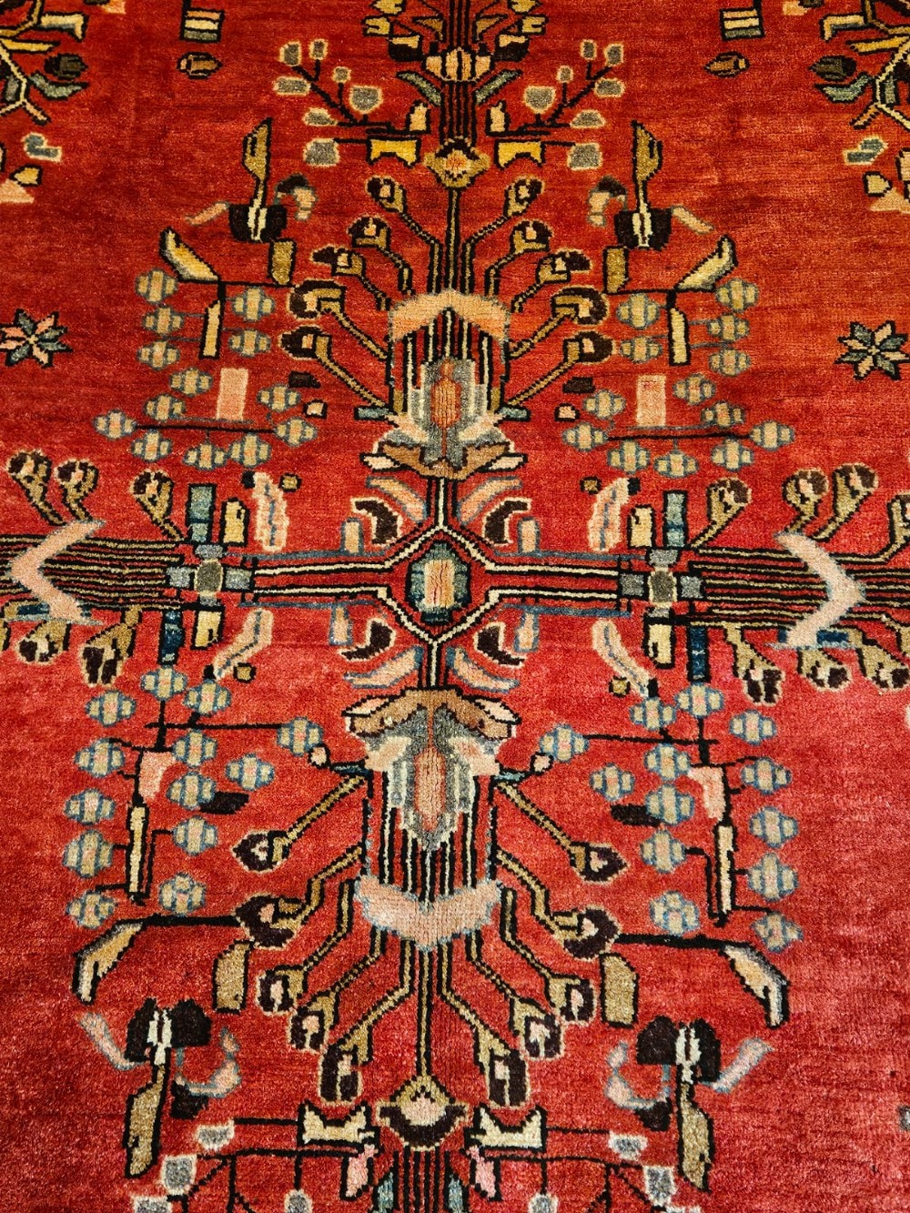 9' x 6' Pure Wool Rug View VIII
