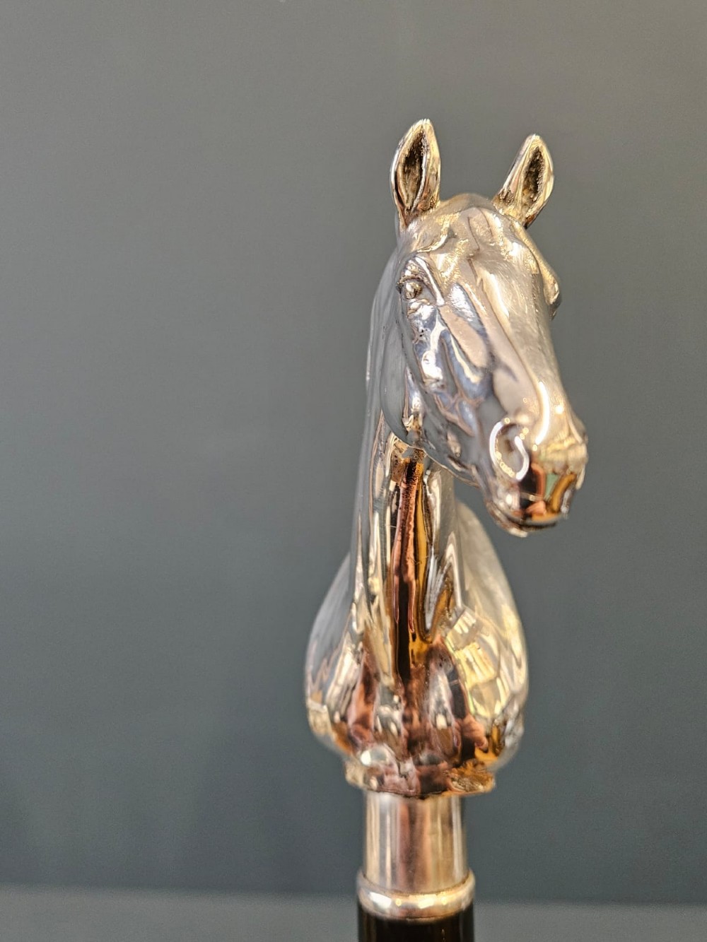 Outstanding Silver Horses Head Walking Stick View VI