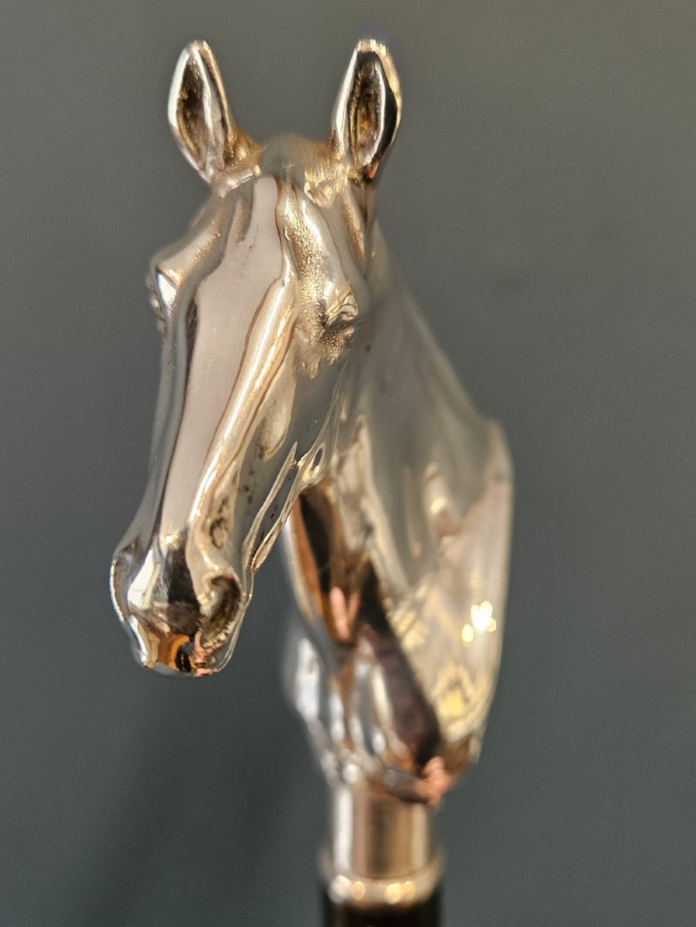 Outstanding Silver Horses Head Walking Stick View VII