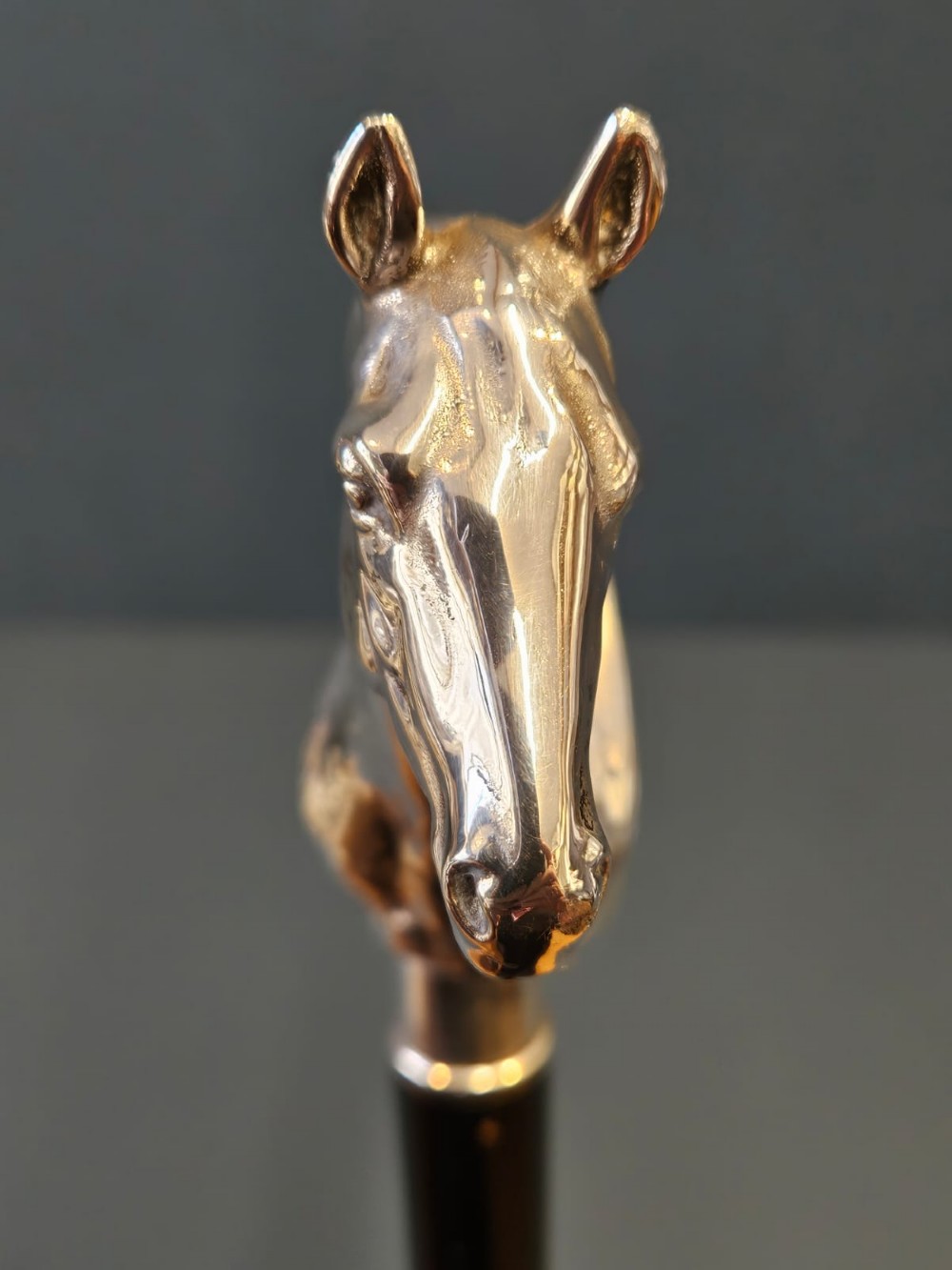Outstanding Silver Horses Head Walking Stick View IX