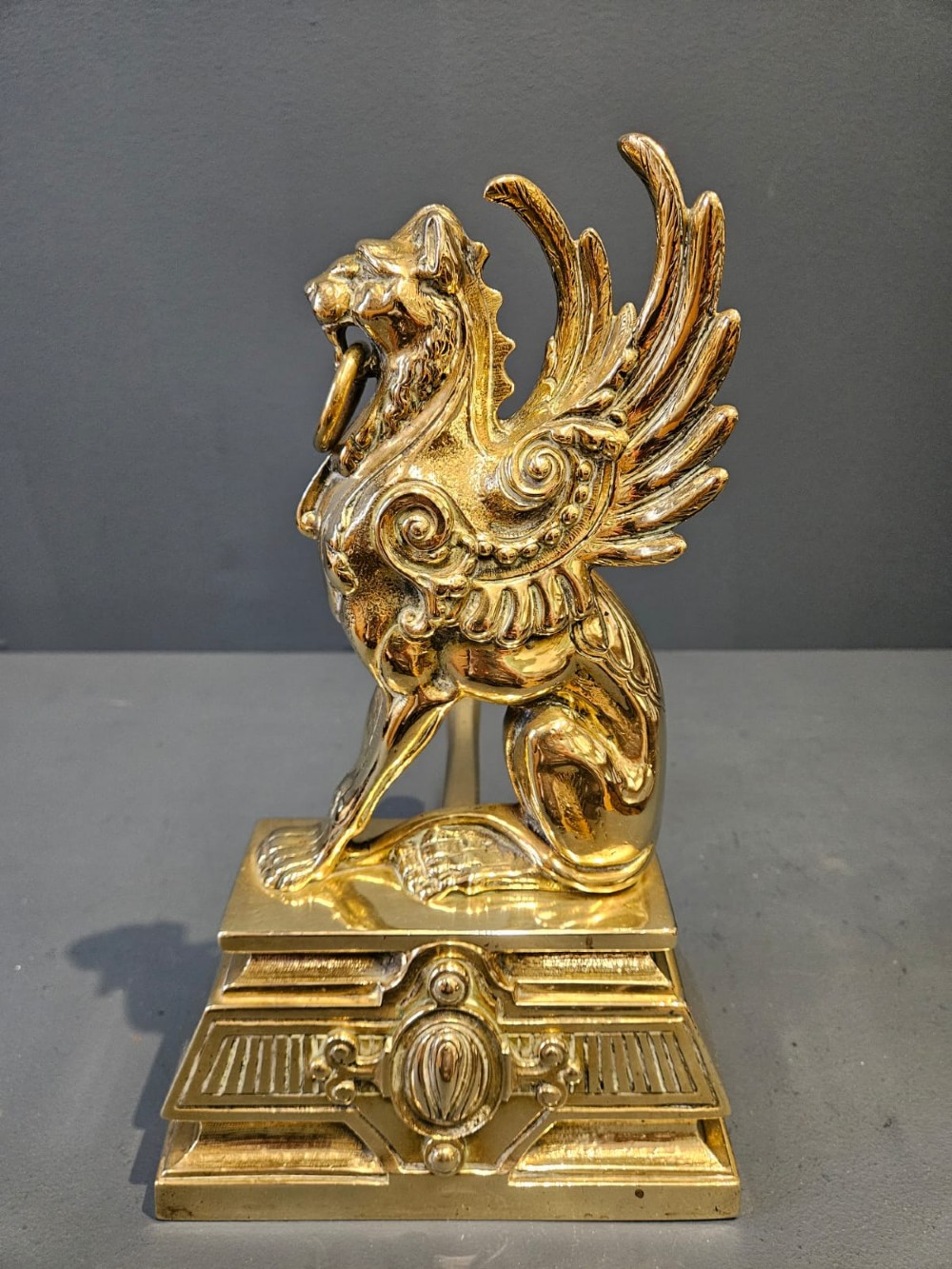 Pair of Victorian Brass Griffin Fire Dogs View IV