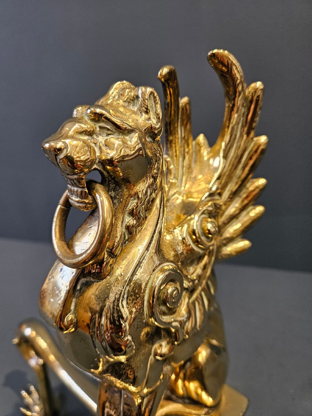 Pair of Victorian Brass Griffin Fire Dogs View VI