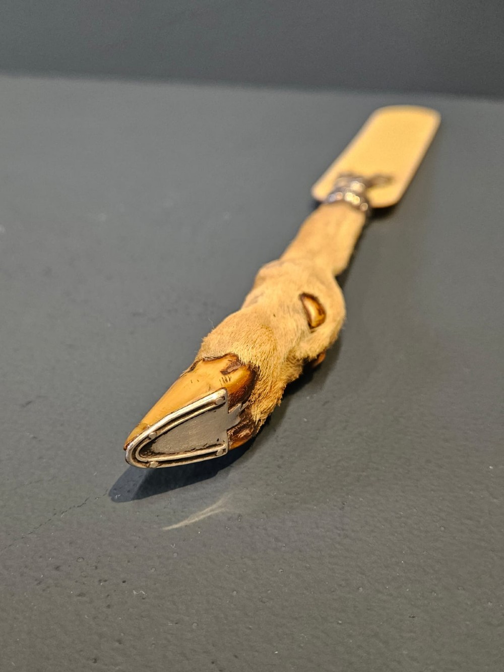 A Victorian page turner with a smooth cream blade, a silver deer motif at the base, and a taxidermy deer hoof handle. View V