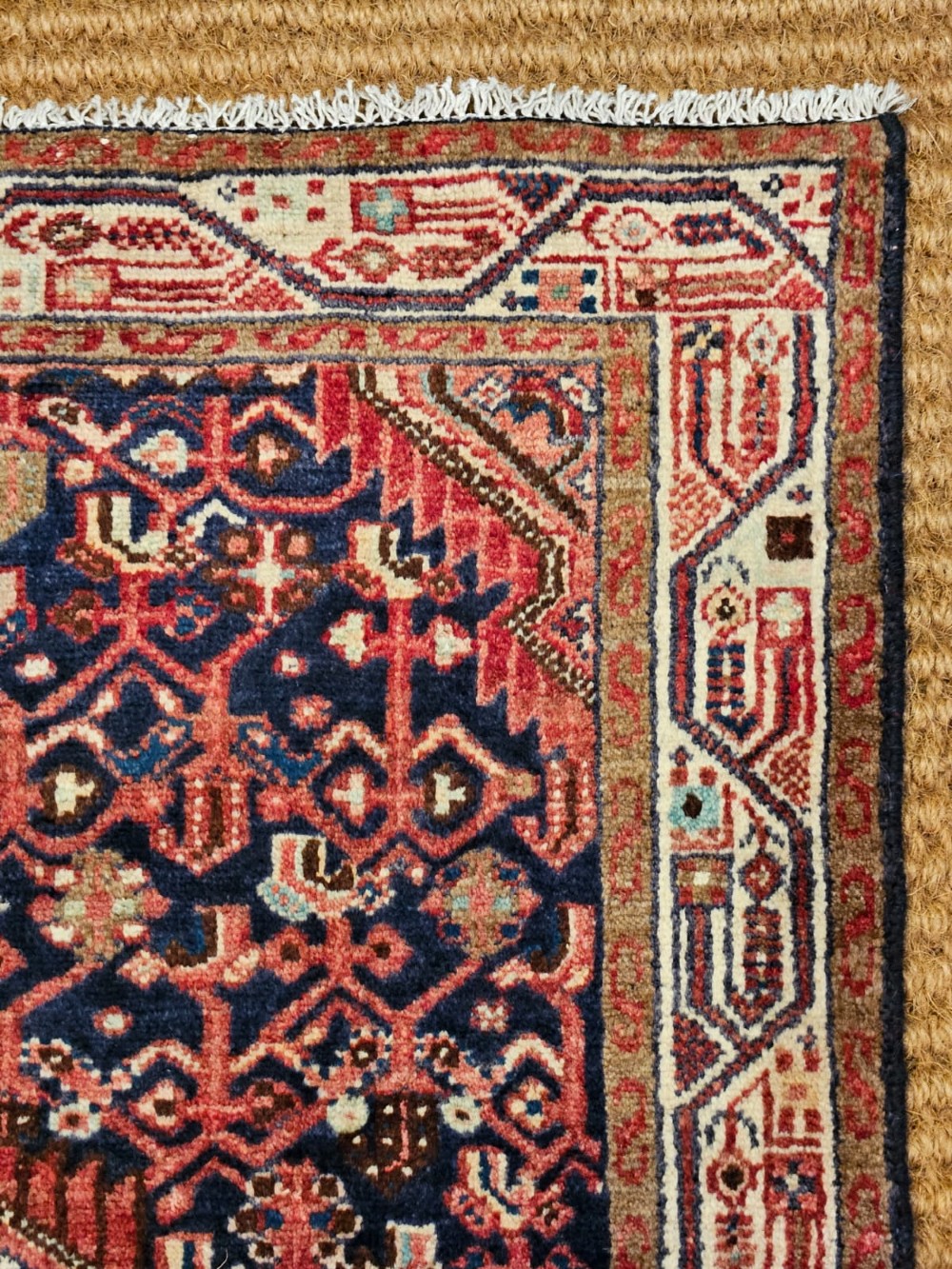 A long hand-knotted wool runner rug featuring deep navy blue and terracotta geometric medallion patterns with a cream decorated border. View III