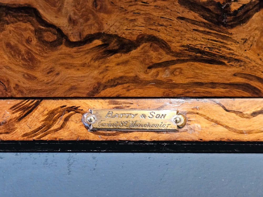 Alternate View