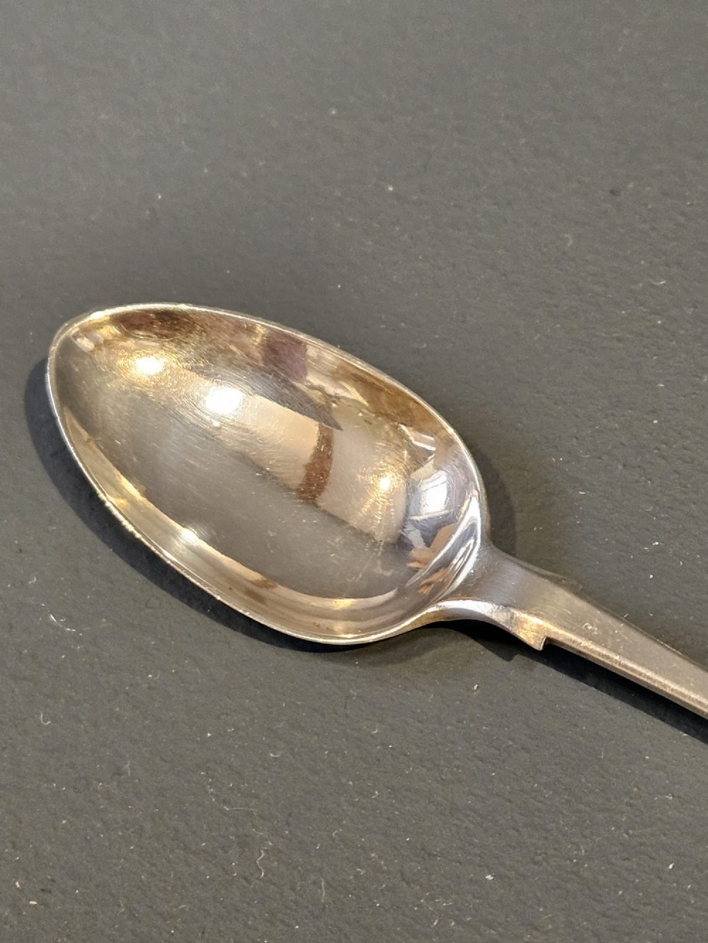 Alternate View