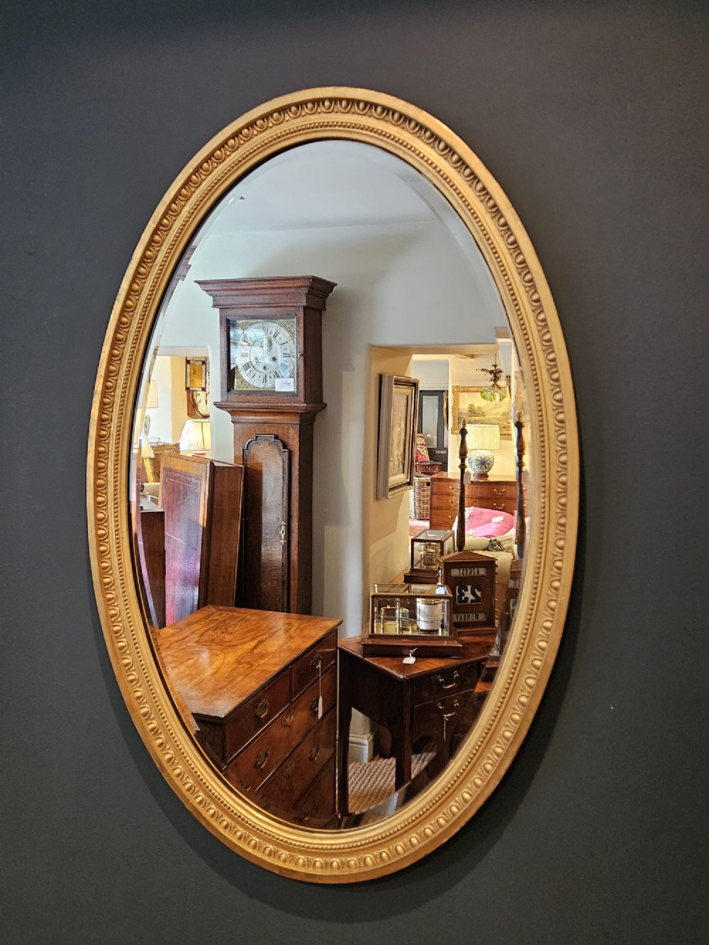 A vertical oval wall mirror featuring a gilded plaster frame decorated with egg and dart moulding details around the inner border.
