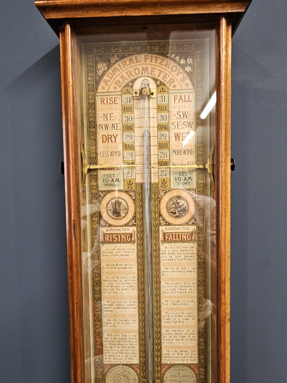 Alternate View