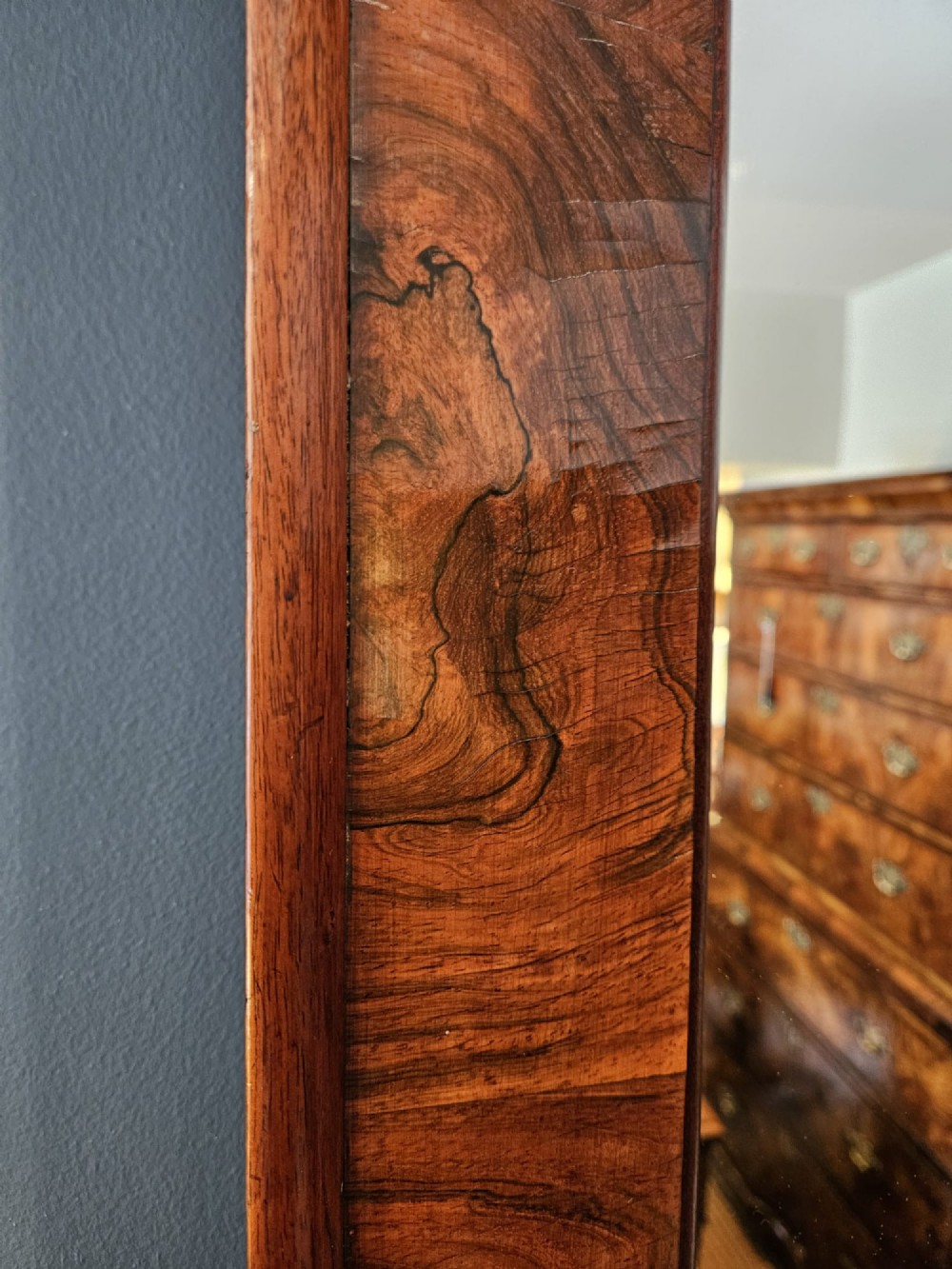 Alternate View