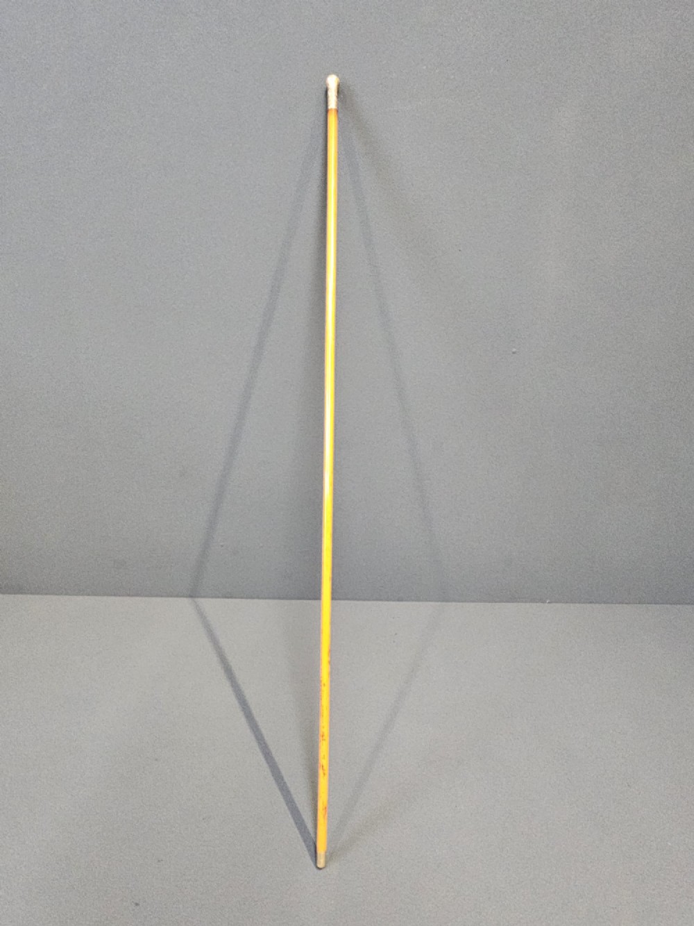 A slender light brown wooden swagger stick featuring a polished gold top inset with a small red ruby.
