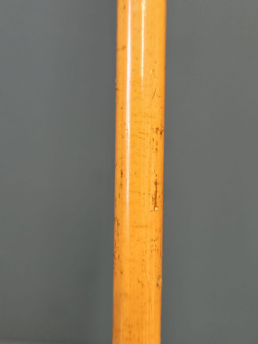 A slender light brown wooden swagger stick featuring a polished gold top inset with a small red ruby. View VII