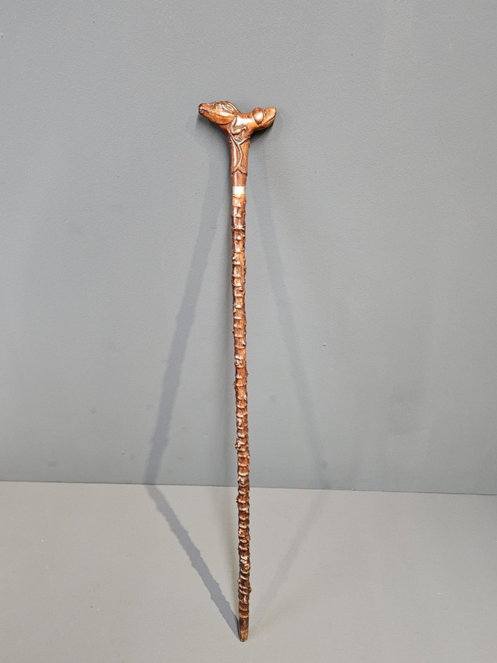 An Edwardian walking stick with a hand-carved wooden dog head handle on a knobbly blackthorn shaft with a silver-coloured collar.