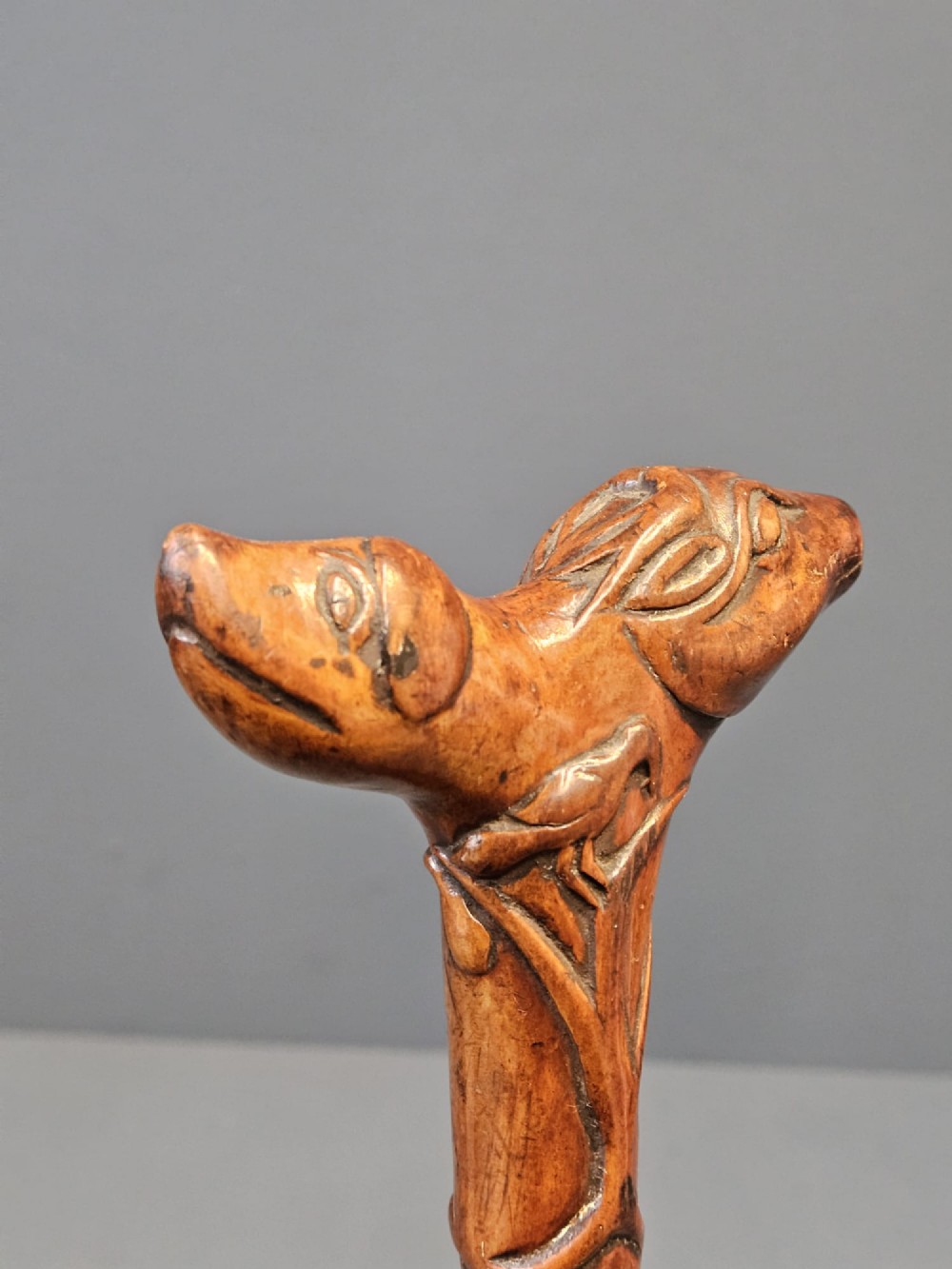 An Edwardian walking stick with a hand-carved wooden dog head handle on a knobbly blackthorn shaft with a silver-coloured collar. View VI