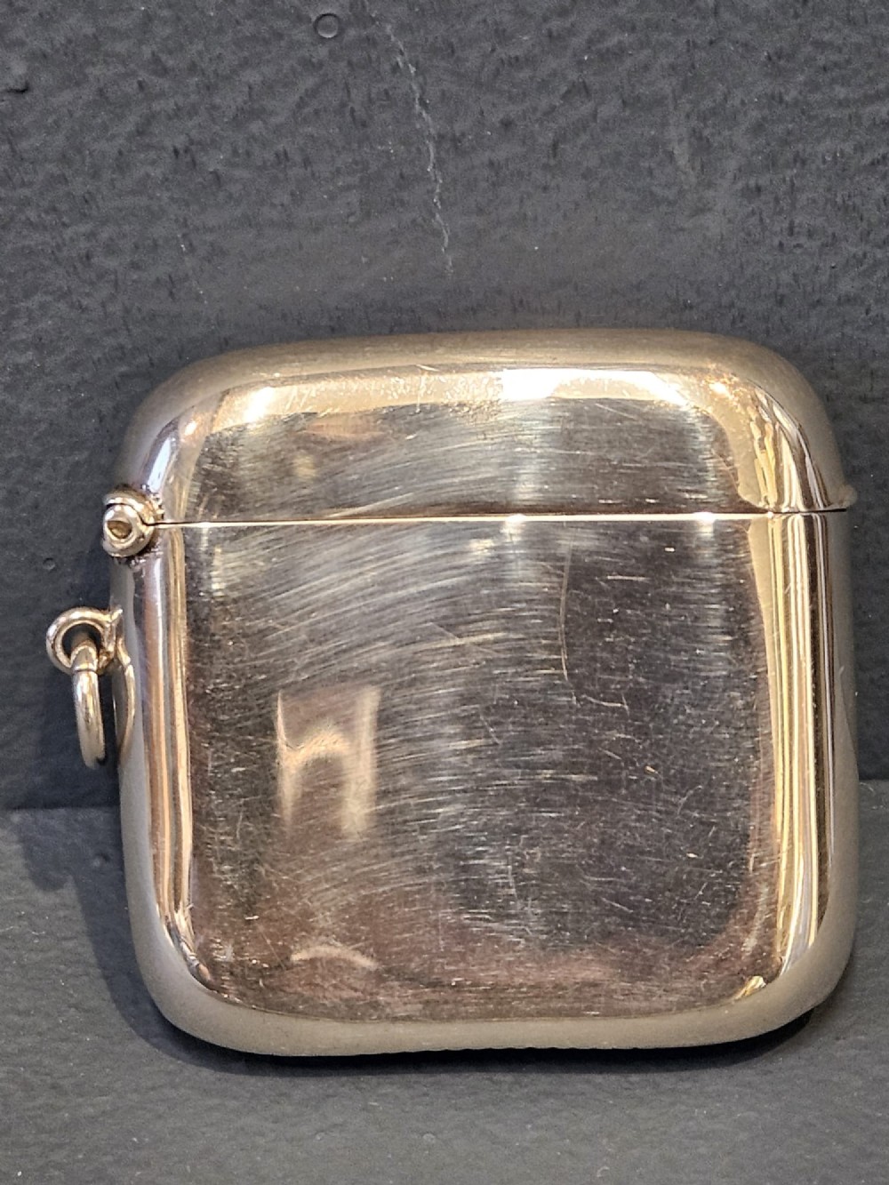 A polished silver rectangular vesta case with a hinged lid, side loop, and an embossed retriever dog motif in relief. View IV