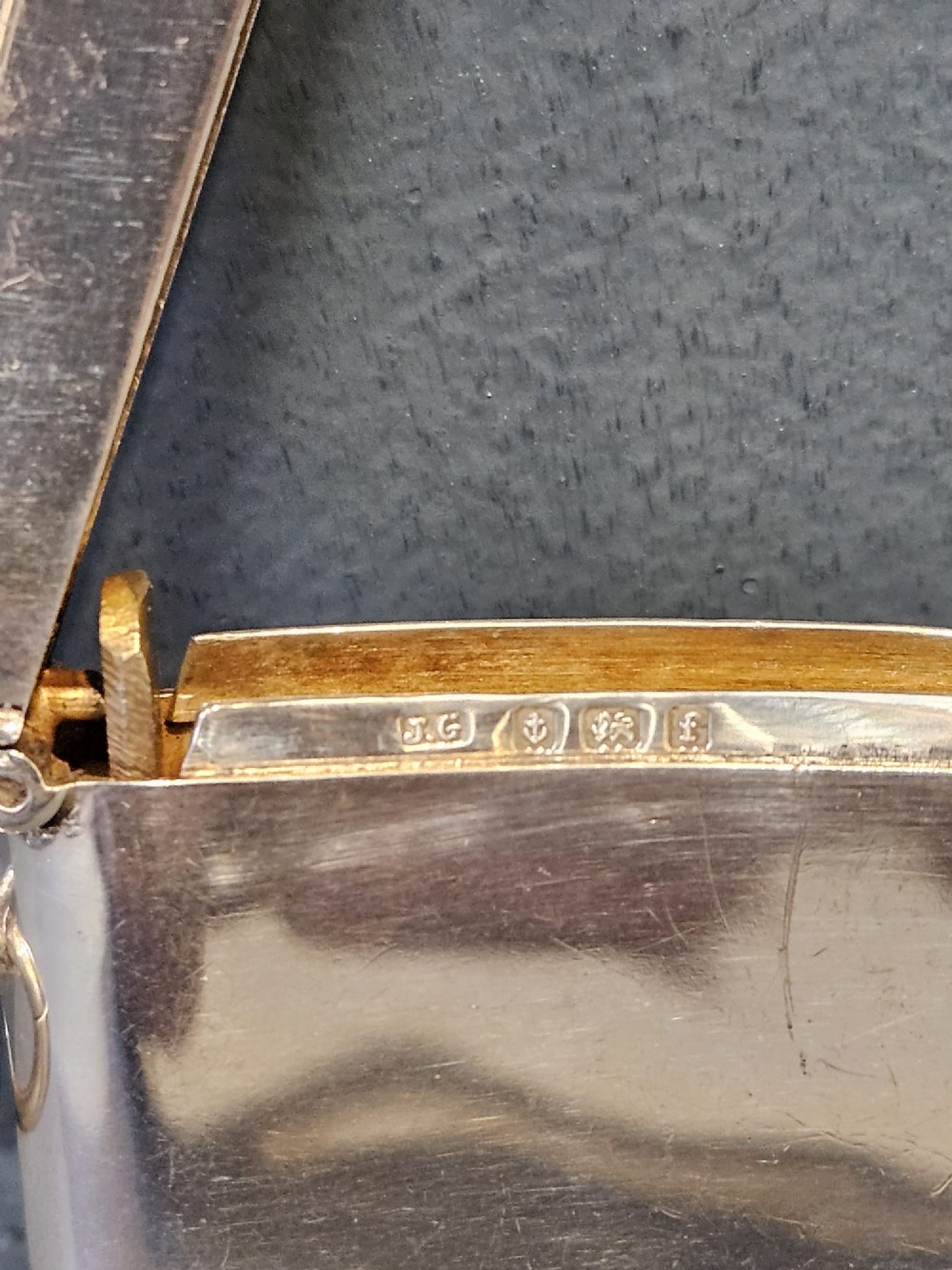 A polished silver rectangular vesta case with a hinged lid, side loop, and an embossed retriever dog motif in relief. View V