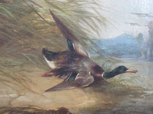 POINTER AND MILD DUCK BY GEORGE ARMFIELD CIRCA 1840 - ADDITIONAL PHOTO 2
