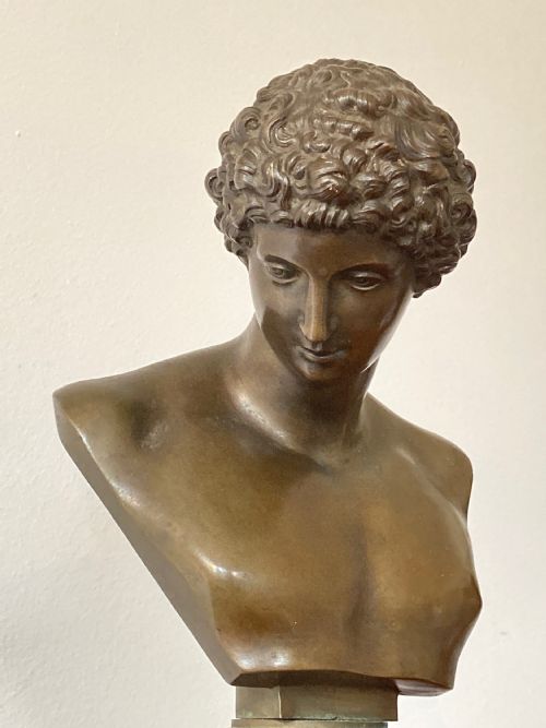 GRAND TOUR BRONZE BUST OF ANTINOUS 111AD 130AD CIRCA 19TH CENTURY - ADDITIONAL PHOTO 10