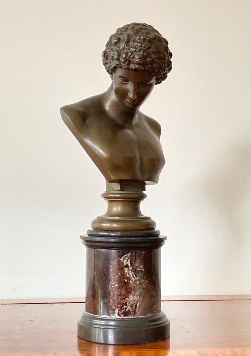 GRAND TOUR BRONZE BUST OF ANTINOUS 111AD 130AD CIRCA 19TH CENTURY - ADDITIONAL PHOTO 3