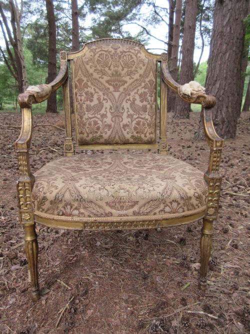george iii sheraton giltwood drawing room chair circa 1795 - CATEGORY: ANTIQUE CHAIRS - DATED GEORGIAN