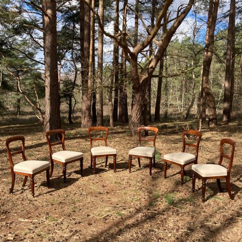set of 6 mahogany william iv dining chairs circa 1840 - CATEGORY: ANTIQUE CHAIRS - DATED 19TH CENTURY