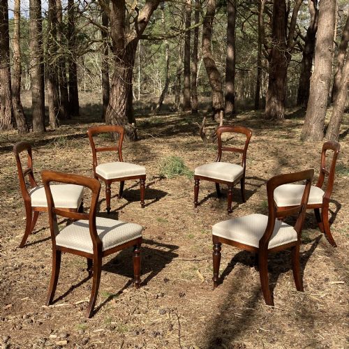 SET OF 6 MAHOGANY WILLIAM IV DINING CHAIRS CIRCA 1840 - ADDITIONAL PHOTO 2