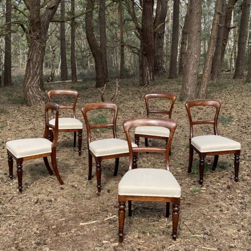 SET OF 6 MAHOGANY WILLIAM IV DINING CHAIRS CIRCA 1840 - ADDITIONAL PHOTO 3