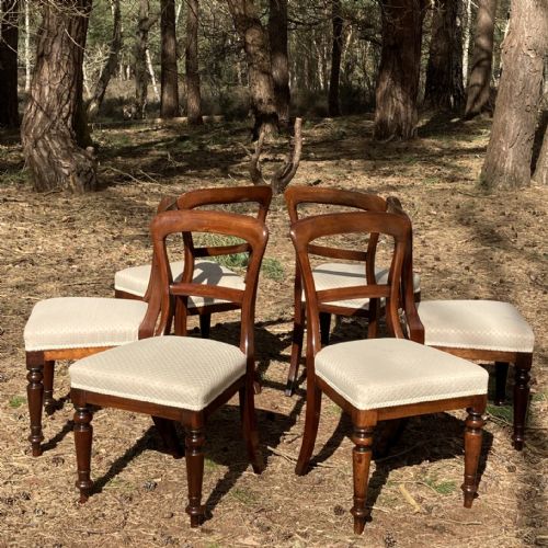 SET OF 6 MAHOGANY WILLIAM IV DINING CHAIRS CIRCA 1840 - ADDITIONAL PHOTO 4